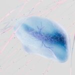 Bun & Buns - B2B EShop Design