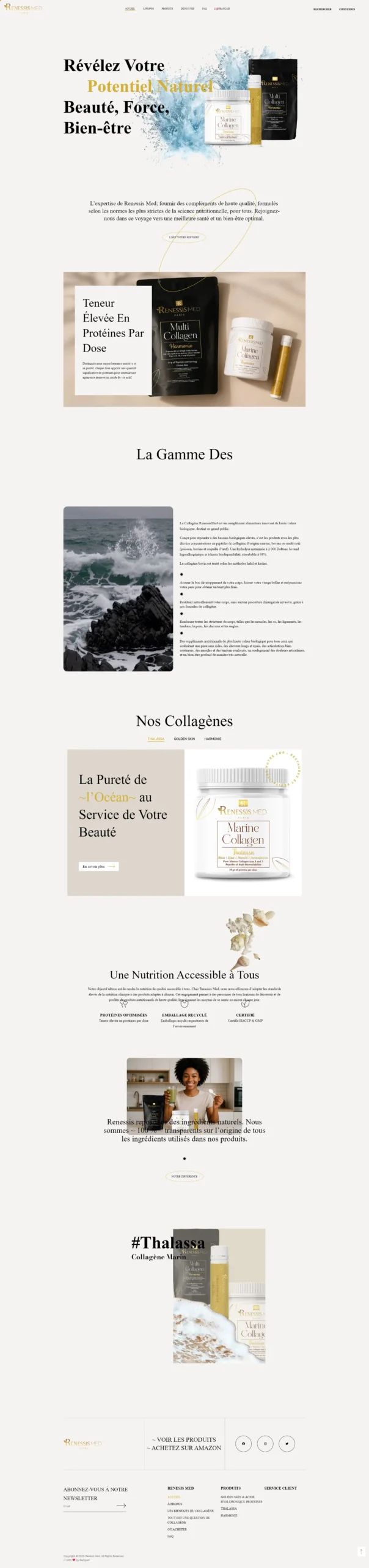 renessismed paris website design